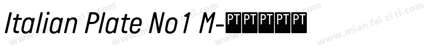 Italian Plate No1 M字体转换